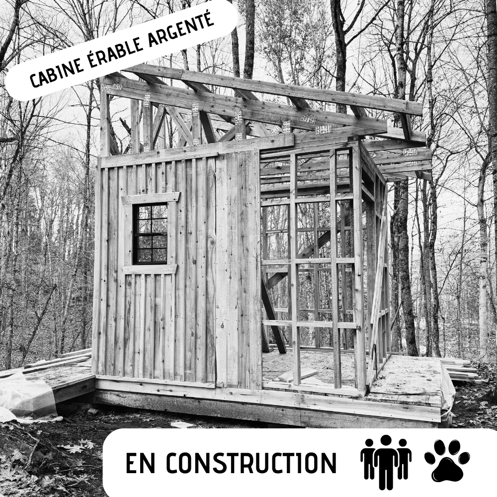 Cabine érable argenté
